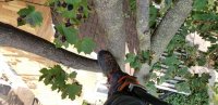 20200916_115914.jpg