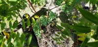 20200917_130313.jpg