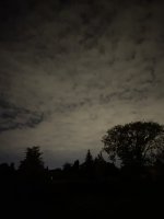 695C4FE8-6619-4BC6-BA32-A441697BCD00.jpeg
