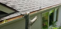 20200918_123705.jpg