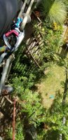 20200918_123656.jpg