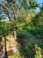 20200918_161738.jpg