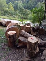 IMG_20200918_171238.jpg