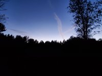 20200918_193109.jpg