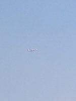 IMG_20200905_113010474.jpg
