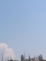 IMG_20200905_113637895.jpg
