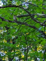 20200919_075352.jpg
