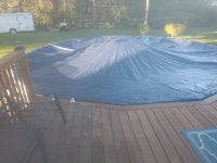 IMG_20200919_182259323.jpg