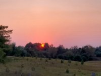 20200922_184351.jpg