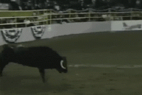 tenor (3).gif