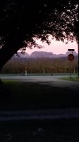 20200924_064850.jpg