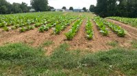 20160702_141124.jpg