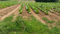 20160702_141151.jpg