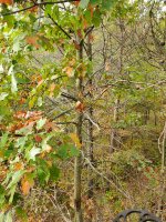 20200926_091145.jpg