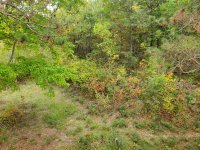 20200927_162154.jpg