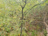 20200927_164651.jpg