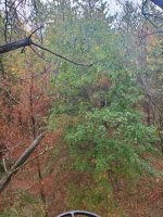 20200927_164639.jpg