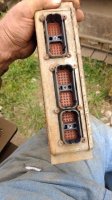 IMG_20200927_153940627.jpg