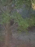 20200927_190528.jpg