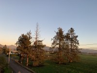 24764F95-D3DF-4B9D-917C-D9732CAD318B.jpeg