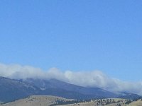 IMG_20200927_094341.jpg
