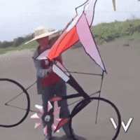 22FB0E7C-857F-47E3-AF15-B0D049217D8C.gif