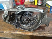 IMG_20201002_183153784.jpg