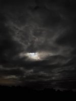 20201003_054750.jpg
