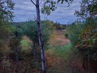 20201003_065701.jpg