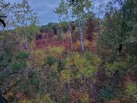 20201003_065657.jpg