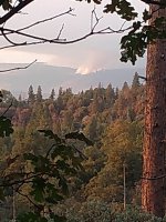 IMG_20200925_182020165.jpg