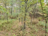 20201003_150345.jpg