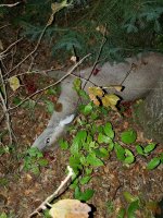 20201003_185337.jpg