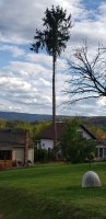 20201003_163654.jpg