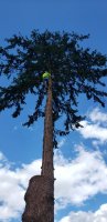 20201003_153404.jpg