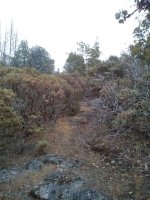 IMG_20201003_184937292.jpg