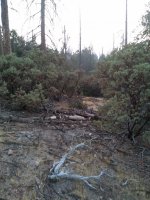 IMG_20201003_185037536.jpg