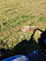 20201004_110302.jpg