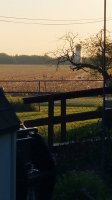 20201005_074828.jpg