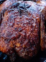 IMG_20201005_131156.jpg