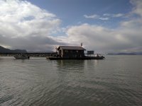 IMG_20201006_134934.jpg