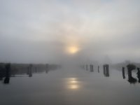 7E1BA061-DCD1-466E-BA99-EA75CBF312A2.jpeg