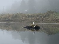 0904B953-F70C-453B-BEF6-0B64C5C30557.jpeg