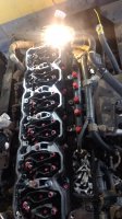 IMG_20201008_131236151.jpg