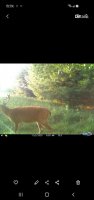 Screenshot_20201009-081155_Gallery.jpg
