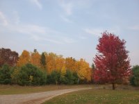 20201009_175039.jpg