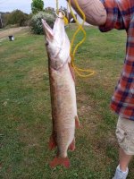IMG_20201010_165435.jpg
