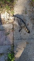 20201005_100327.jpg