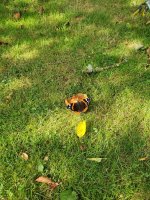 20200919_113236.jpg