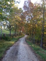 IMG_20201012_174723.jpg